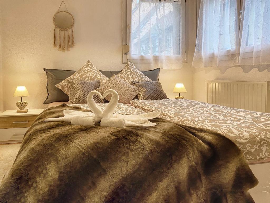 Cocooning centre ville au calme 10E Rue Neuve, 67700 Saverne