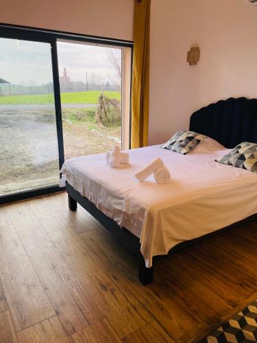 Cocooning Studio ALBI