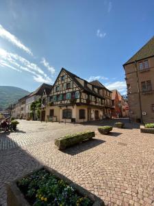 Appartement Coeur d'alsace 22 Rue du General de Gaulle 68240 Kaysersberg Alsace