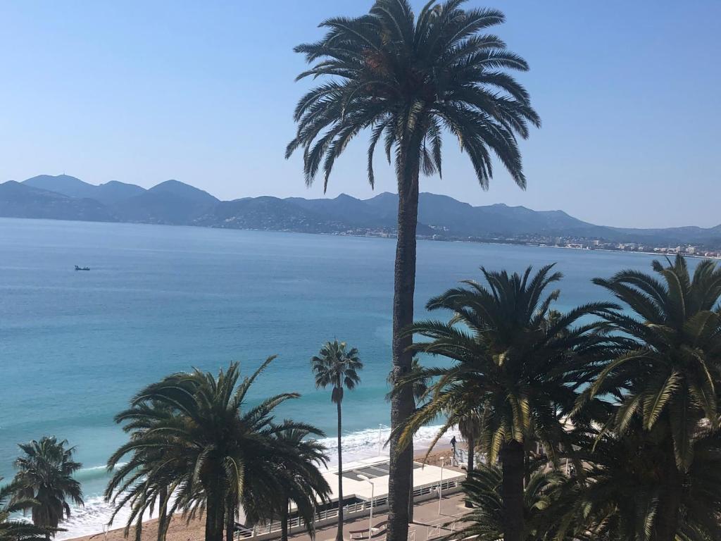 Coeur de Cannes 49 Rue Georges Clémenceau, 06400 Cannes