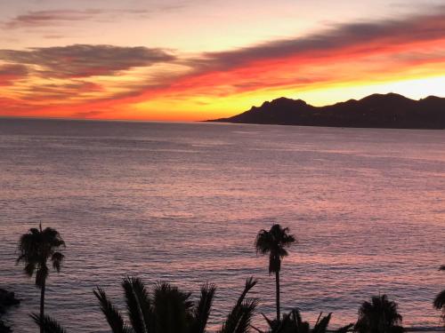 Coeur de Cannes