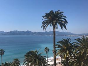 Coeur de Cannes