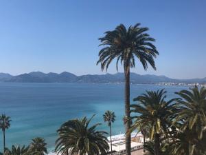 Appartement Coeur de Cannes 49 Rue Georges Clémenceau 06400 Cannes Provence-Alpes-Côte d\'Azur