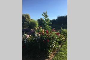 Coeur de Combray (Ifs appartment)