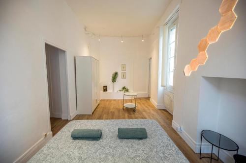 Coeur de ville, magnifique appartement + parking