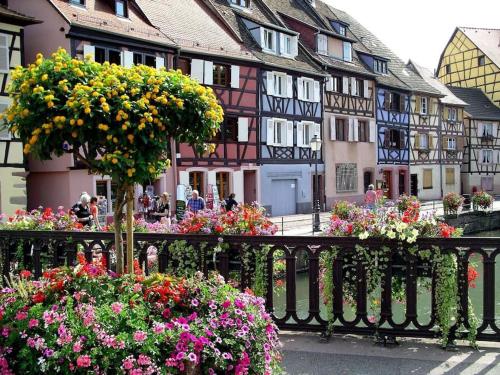 Colmar,appart chaleureux 2 pas centre avec jardin