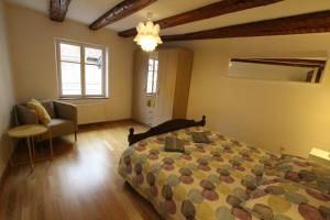 Colmar Historic Center - Alsacian Appartement PETITE VENISE 2 - BookingAlsace