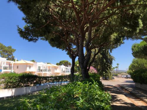 Comfortable apartment, Algarve Albufeira, 10 mn walk from Falésia beach