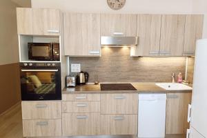 Comfortable apartment in the city center