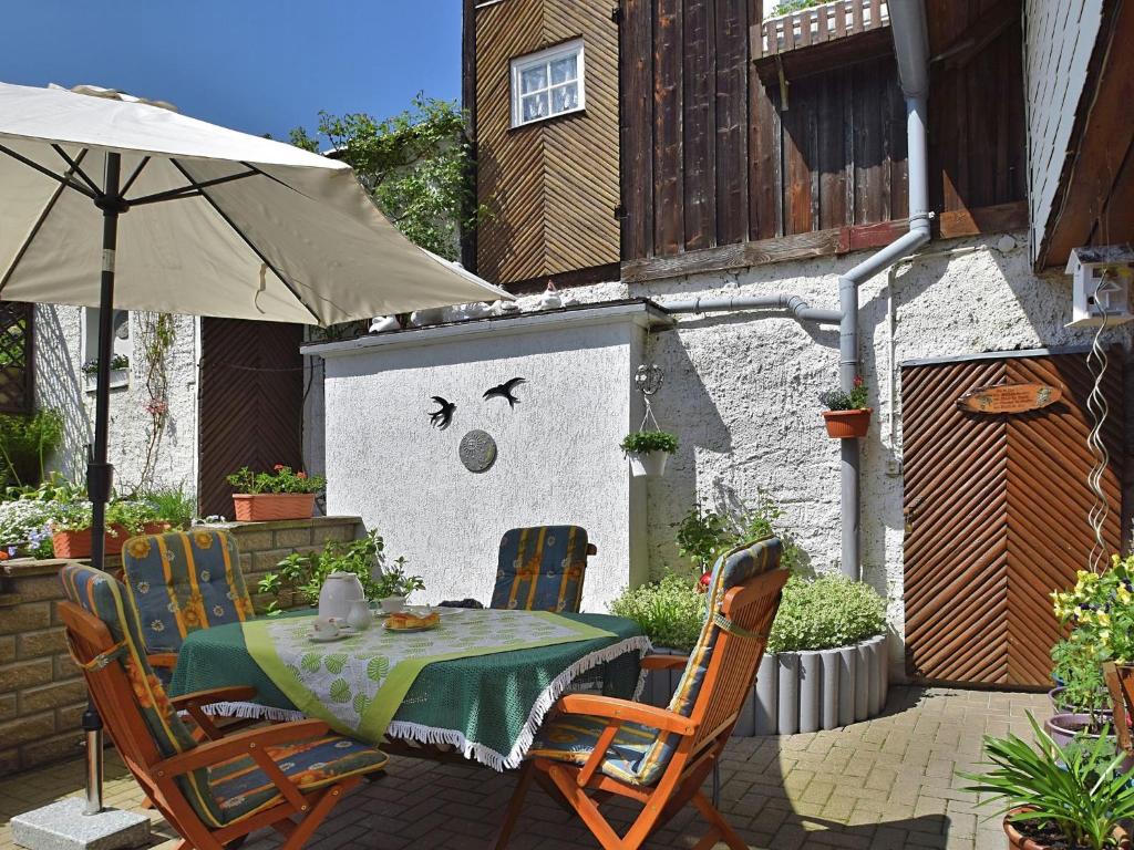 Comfortable flat with garden and terrace in the middle of the Thuringian Forest , 98744 Oberweißbach