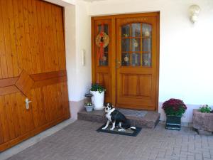 Comfortable holiday home in a beautiful location