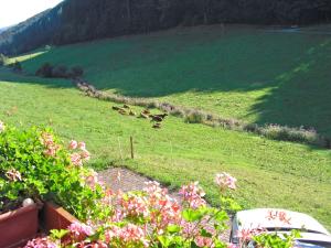 Appartement Comfortable holiday home in a beautiful location  77716 Hofstetten Bade-Wurtemberg
