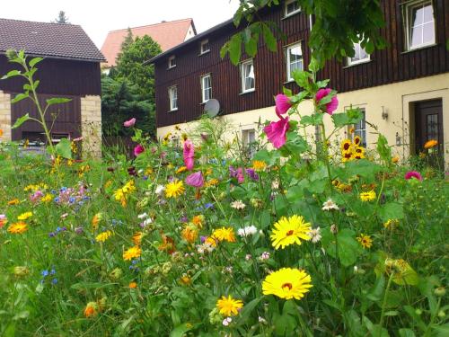 Comfy Apartment in Wei ig with Garden