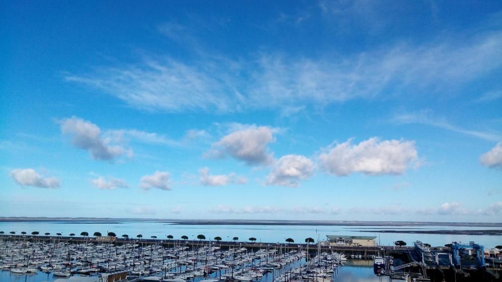 Appartement Comme dans un phare 22 Rue du Capitaine Allègre 33120 Arcachon