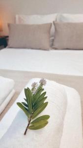 Comporta Beach House