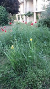 Condrieu 1er étage climatisé appartement entier 90m2