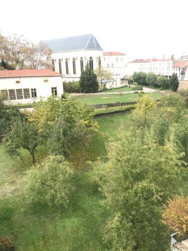 Confort - Nancy Centre - Chambre - Salle de sport - 45 m2