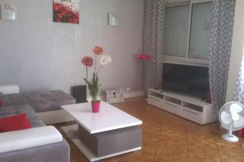 Coquet appartement avec vue superbe Mâcon City Center