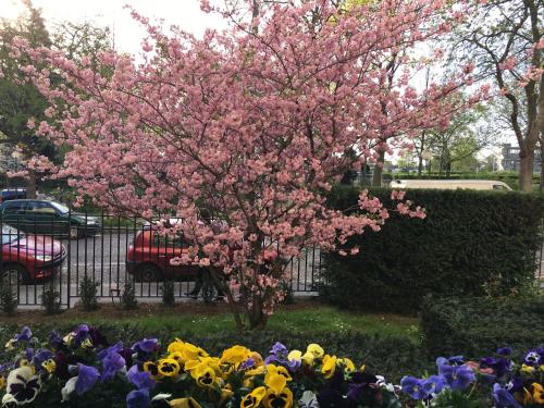 Coquet studio Porte d'Auteuil - très proche de Roland Garros - durée minimum 7 nuits - parking facile à proximité