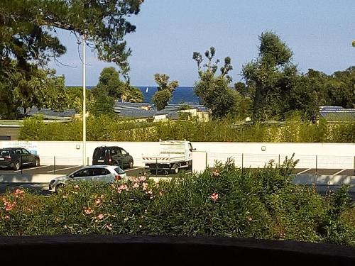 Corse, Appartement avec Piscine en bord de mer