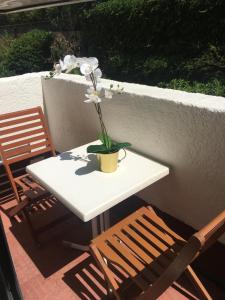 COSY 4 pers- Hyper centre au pied de la plage !