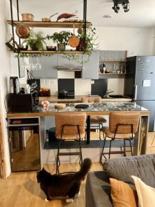Cosy 44m near the Parc des Beaumonts