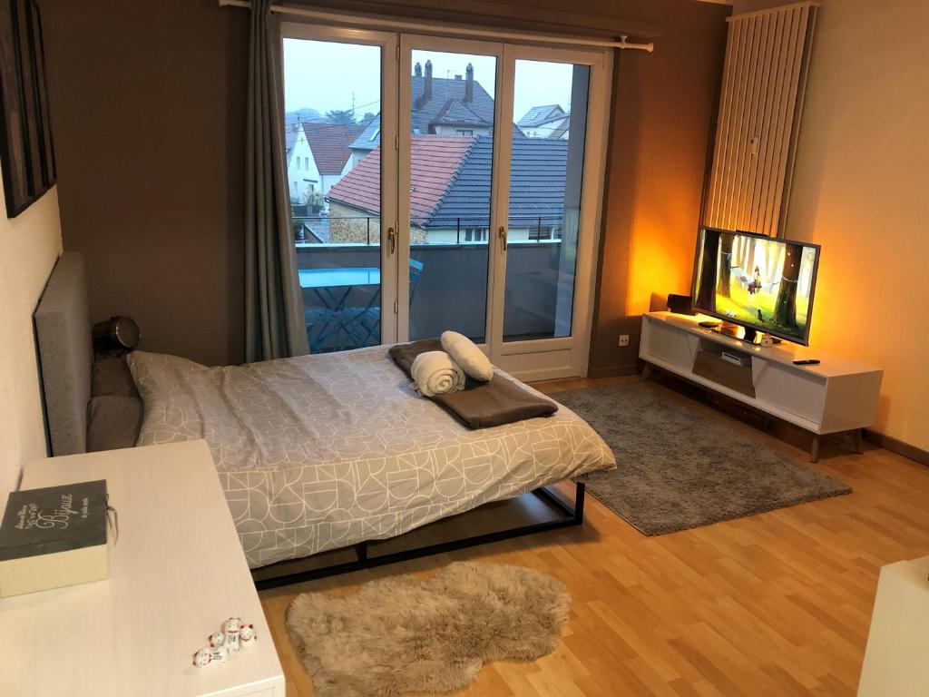 Appartement Cosy-Adventure : Haguenau 7 Rue des Comtes d'Eguisheim 67500 Haguenau