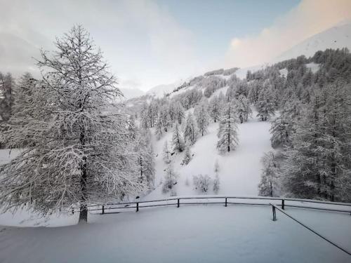 Cosy apart, ski snow surf, Foux d'Allos avec Vue