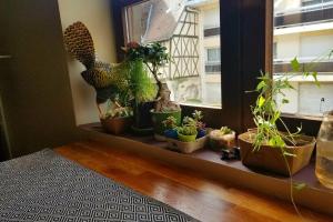 Cosy Apartment by the magical Marais de Bourges
