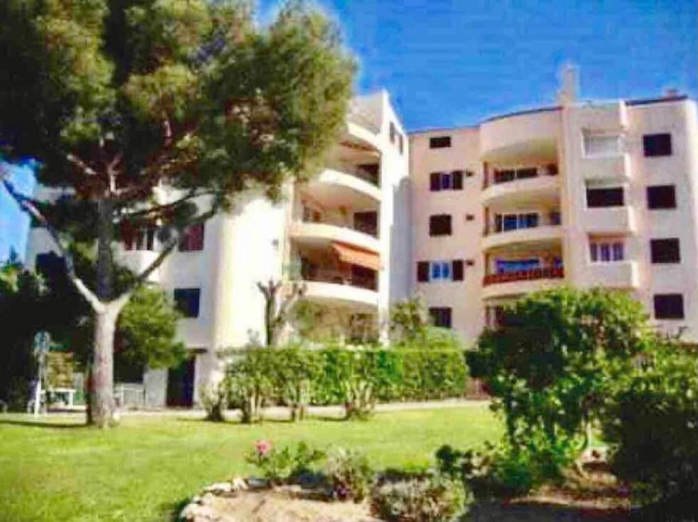 Cosy apartment with terrace and garden access in a quiet wooded area