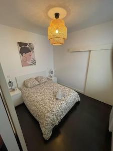 Cosy appartement 3 hypercentre