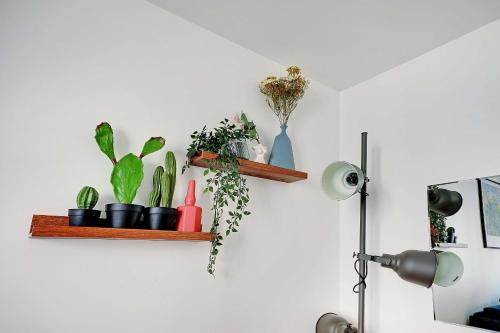 Cosy appartement 4P - Charenton