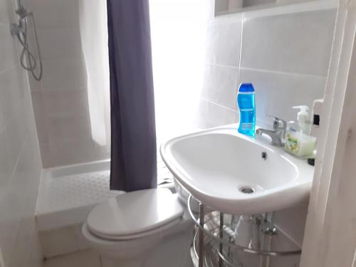 COSY APPARTEMENT ENTIER 2 PIECES A PARIS.