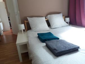 COSY APPARTEMENT ENTIER 2 PIECES A PARIS.