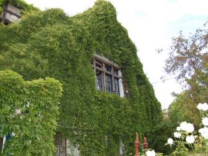 Appartement Cosy Child-friendly Apartment in Retschow  18211 Retschow Mecklembourg-Poméranie