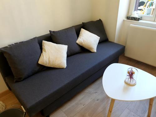 Appartement cosy entier, parking gratuit dans la rue Dijon france