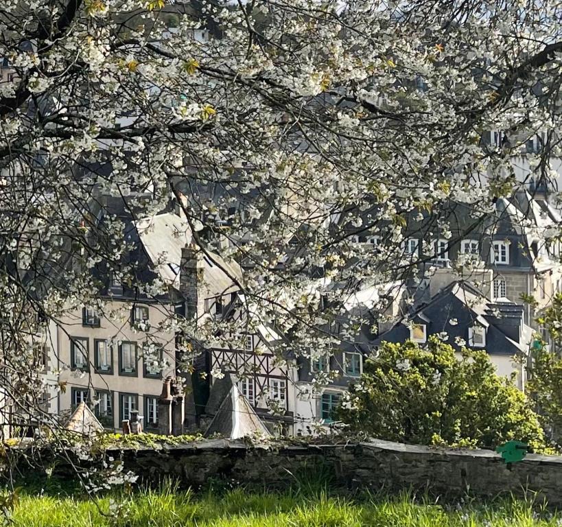 Cosy et jardin panoramique 3 Rue Ange de Guernisac, 29600 Morlaix