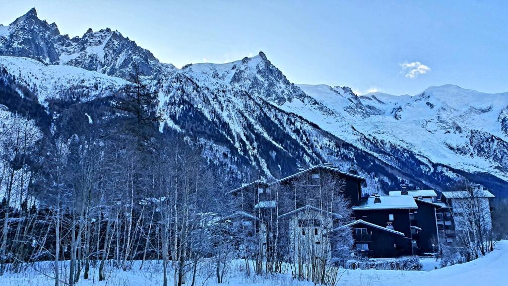Cosy flat on the slopes and centre of Chamonix 401 Rue Joseph Vallot, 74400 Chamonix-Mont-Blanc