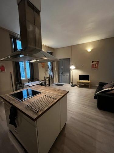 COSY House T3 City Center, Museum, Place Carnot