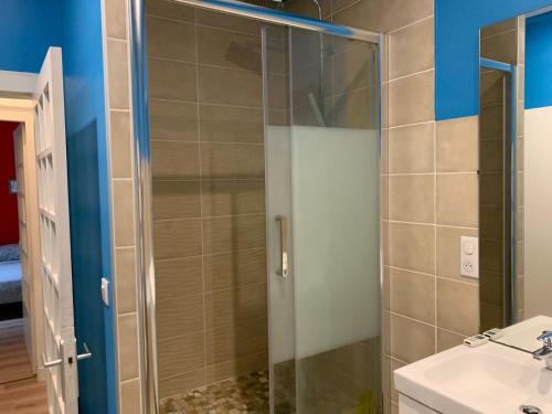 Cosy Indigo - 3 chambres 110m2 - Centre ville