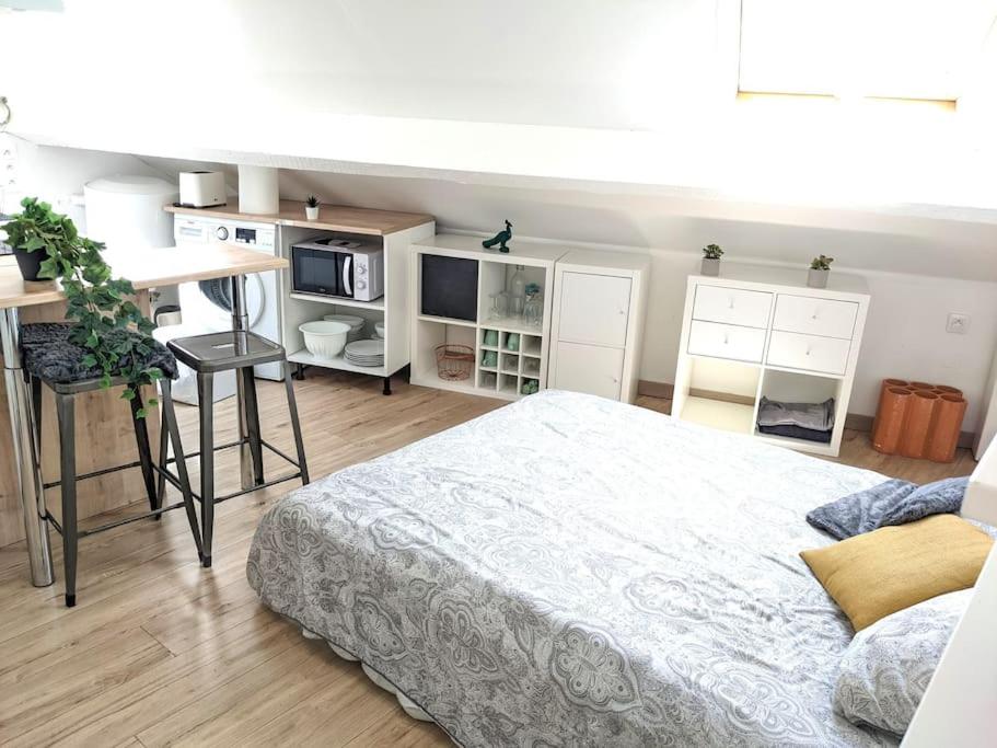 Cosy Lys - Studio - Centre ville 7 Rue Gambetta, 64000 Pau