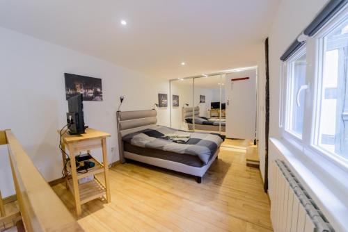 Cosy & quiet flat in historical lively center of Strasbourg
