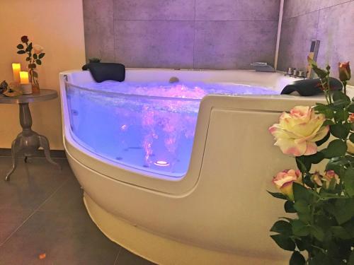 COSY & SPA Appartement luxe JACUZZI \