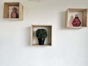 Cosy Studio Le Cannot - Piscine - Parking