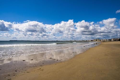 Cosy studio les pieds dans le sable