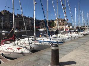 Cosy studio Place Sainte Catherine