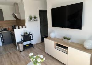 Appartement Cosy T2-Gare de Grenoble 22 Rue Amédée Morel 38000 Grenoble Rhône-Alpes