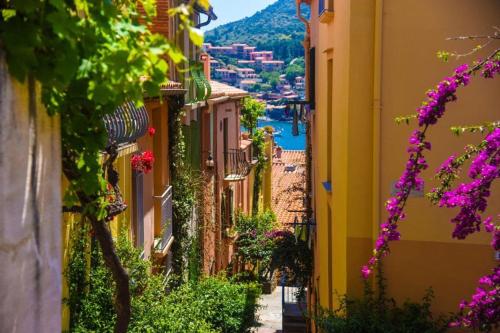 Cosy T2 Papaye-Clim - Wifi -Parking