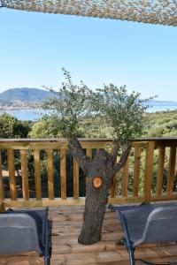 Cosy vue mer