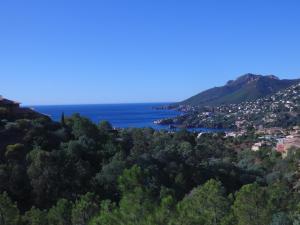 Cote d`Azur - Mandelieu